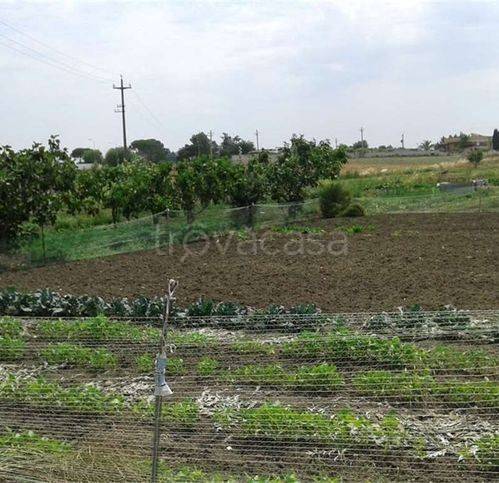 terreno agricolo in vendita a Gravina in Puglia