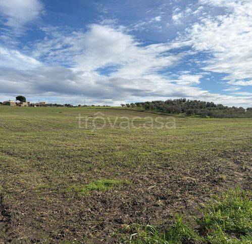 terreno agricolo in vendita a Gravina in Puglia in zona Pantanella
