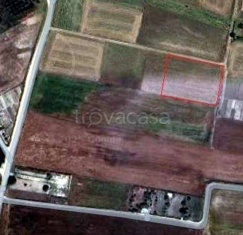 villa in vendita a Gravina in Puglia