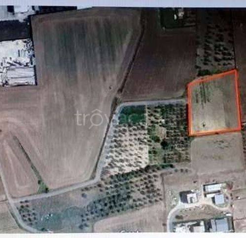 terreno agricolo in vendita a Gravina in Puglia