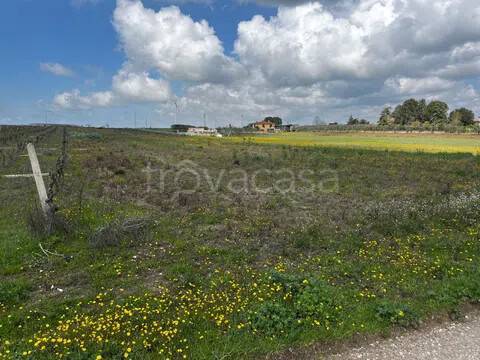 terreno edificabile in vendita a Gravina in Puglia