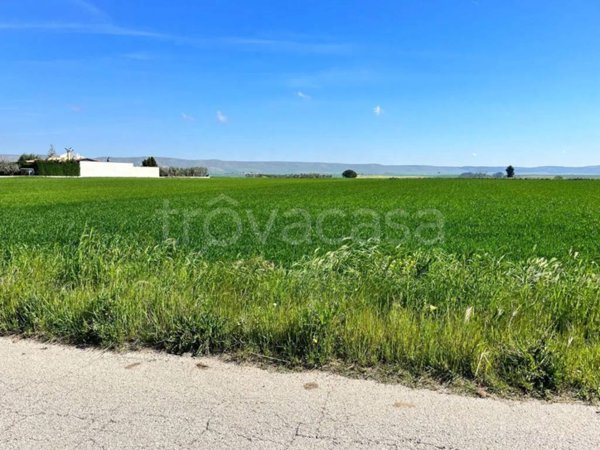 terreno agricolo in vendita a Gravina in Puglia in zona Dolcecanto