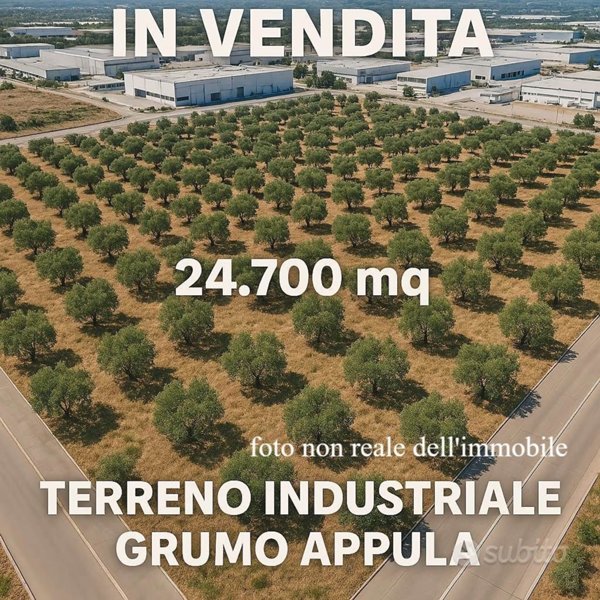 terreno agricolo in vendita a Grumo Appula