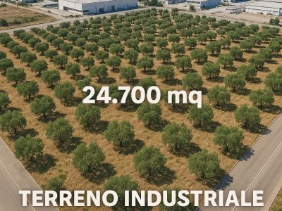 terreno agricolo in vendita a Grumo Appula