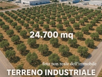 terreno agricolo in vendita a Grumo Appula