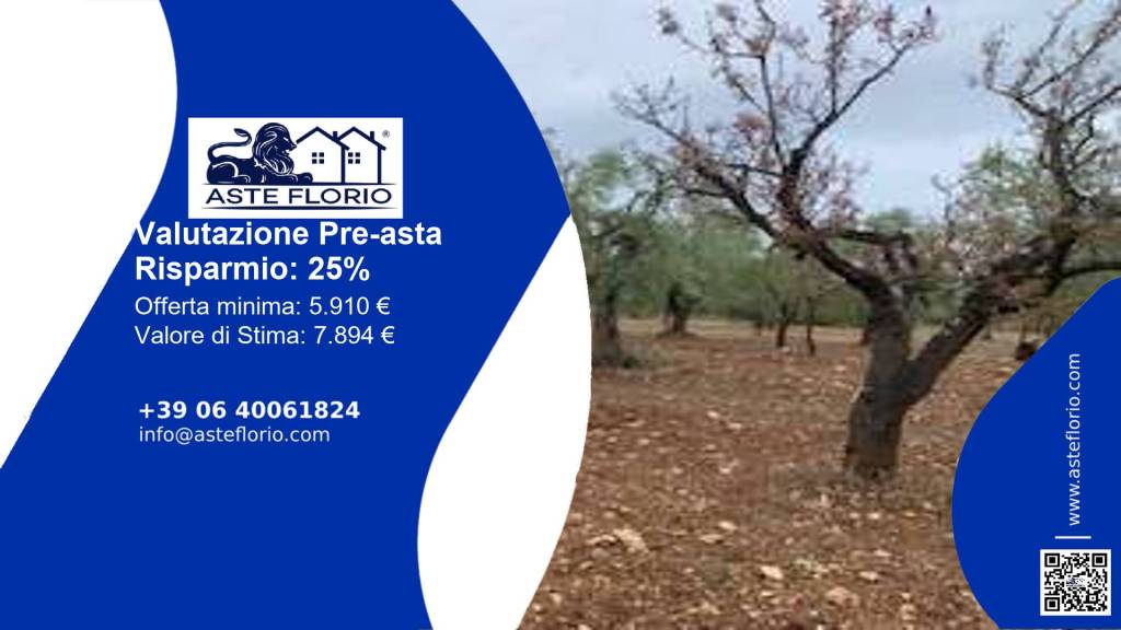 terreno agricolo in vendita a Grumo Appula