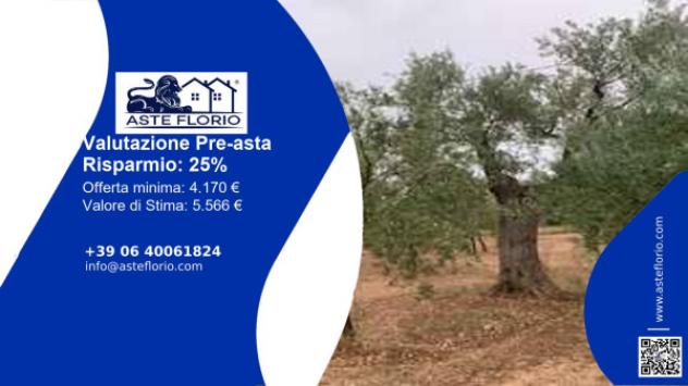 terreno agricolo in vendita a Grumo Appula