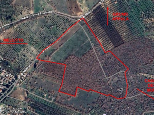 terreno agricolo in vendita a Grumo Appula