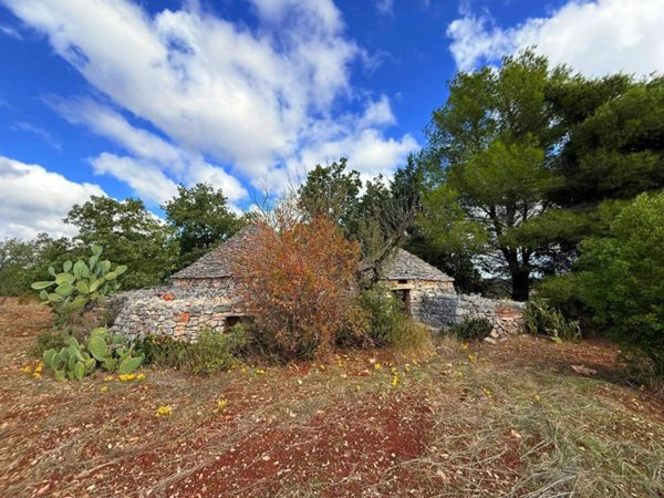 terreno agricolo in vendita a Grumo Appula