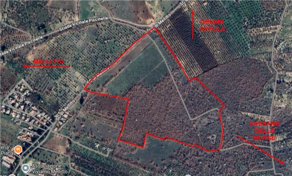 terreno agricolo in vendita a Grumo Appula