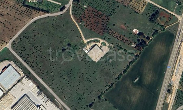 terreno agricolo in vendita a Grumo Appula