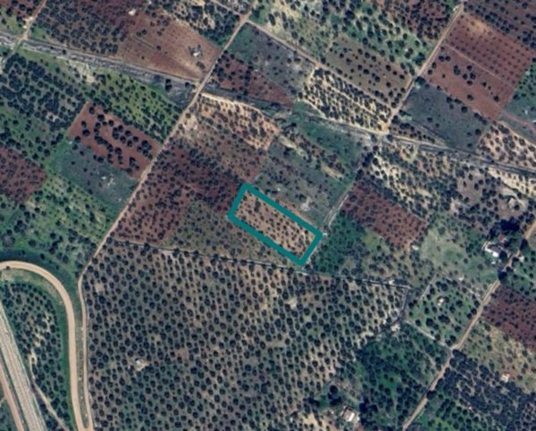 terreno agricolo in vendita a Grumo Appula