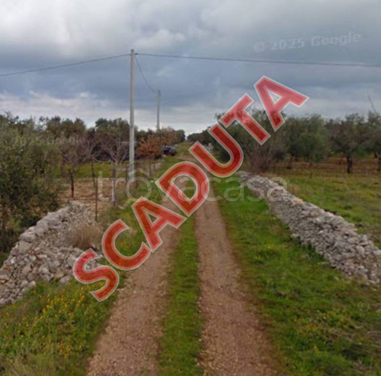 terreno agricolo in vendita a Grumo Appula