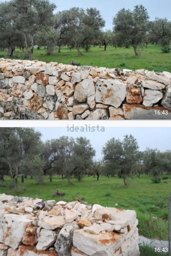 casale in vendita a Grumo Appula