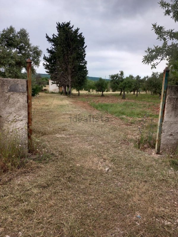 terreno agricolo in vendita a Grumo Appula