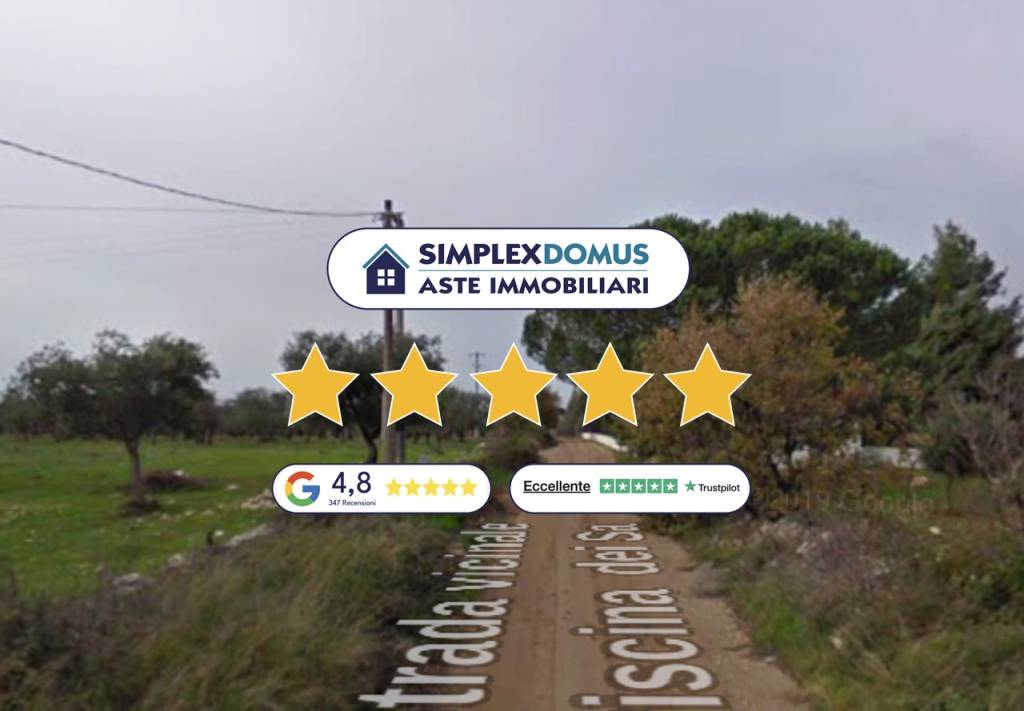 immagine annuncio 0 di 15