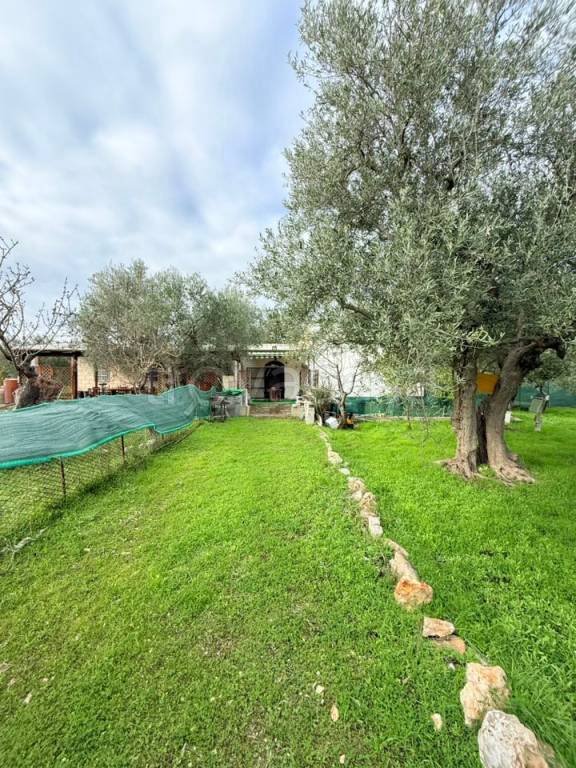 terreno agricolo in vendita a Grumo Appula