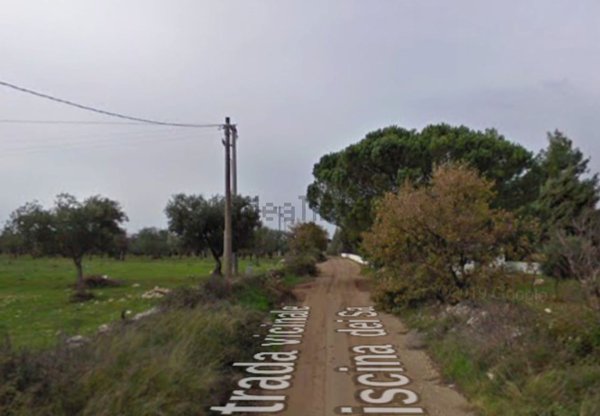 esavano in vendita a Grumo Appula