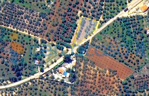 monolocale in vendita a Grumo Appula