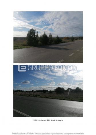 terreno agricolo in vendita a Grumo Appula