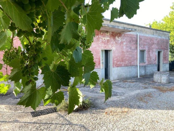 casa indipendente in vendita a Locorotondo