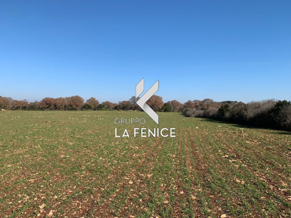 terreno agricolo in vendita a Locorotondo