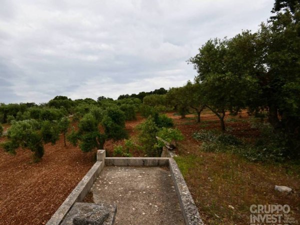 terreno agricolo in vendita a Locorotondo