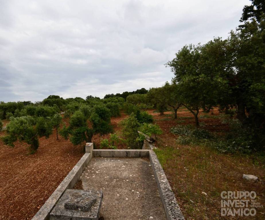 terreno agricolo in vendita a Locorotondo