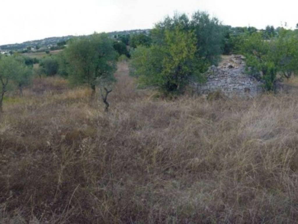 terreno agricolo in vendita a Locorotondo