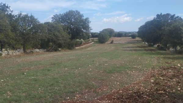 terreno agricolo in vendita a Locorotondo in zona San Marco