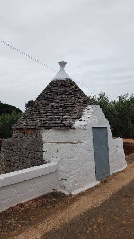 terreno agricolo in vendita a Locorotondo