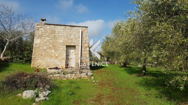 terreno agricolo in vendita a Locorotondo