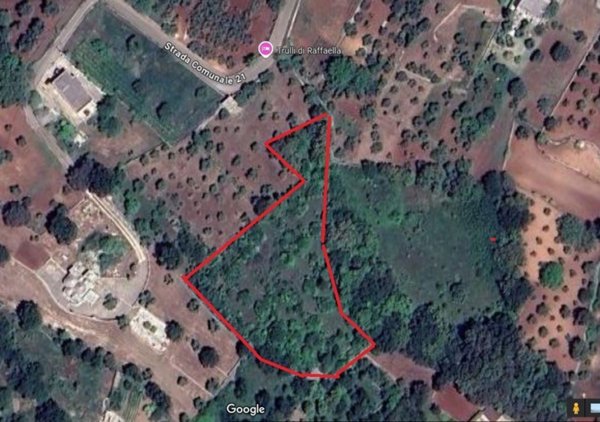 terreno agricolo in vendita a Locorotondo