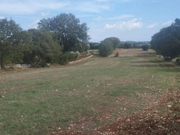 terreno agricolo in vendita a Locorotondo in zona San Marco