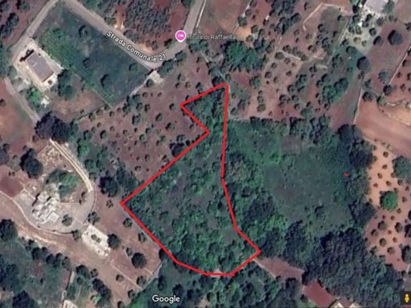 terreno agricolo in vendita a Locorotondo