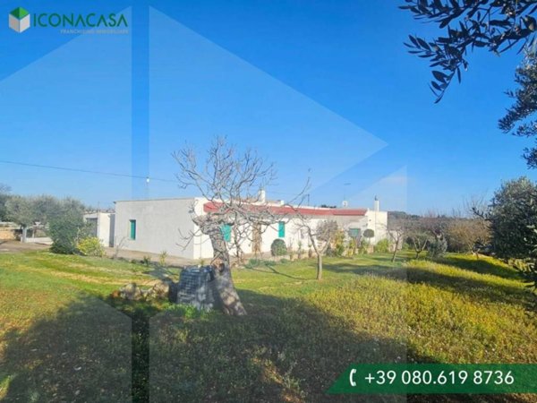 casa indipendente in vendita a Locorotondo