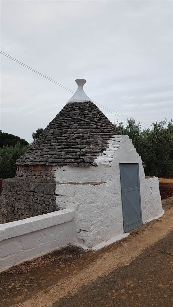 terreno agricolo in vendita a Locorotondo