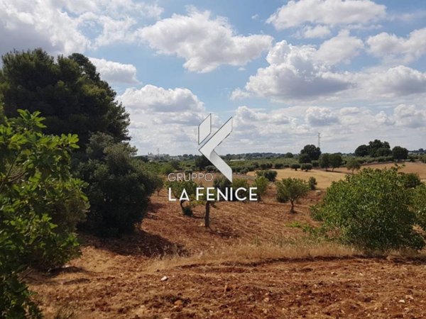 terreno agricolo in vendita a Locorotondo
