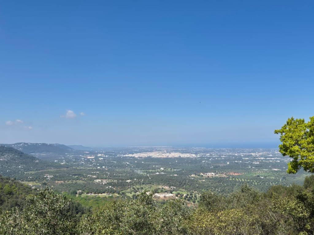 terreno agricolo in vendita a Locorotondo