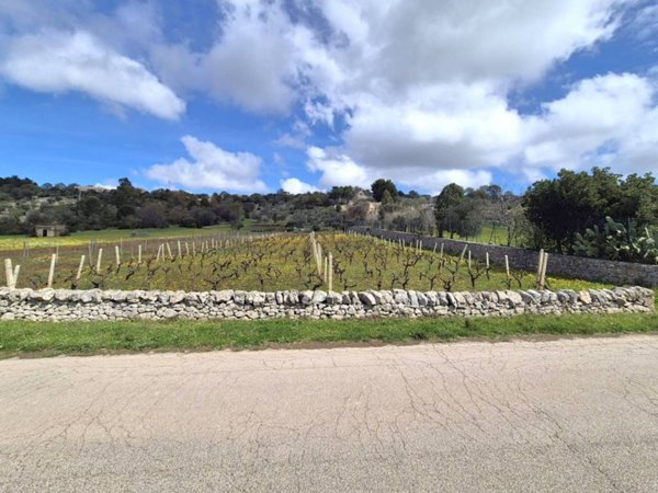 terreno agricolo in vendita a Locorotondo
