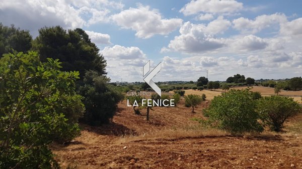 terreno agricolo in vendita a Locorotondo