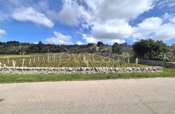 terreno agricolo in vendita a Locorotondo