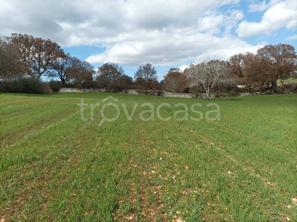 terreno agricolo in vendita a Locorotondo