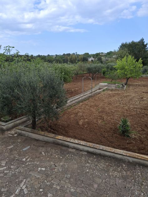 casa indipendente in vendita a Locorotondo