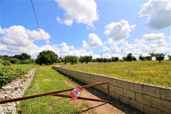 terreno agricolo in vendita a Locorotondo