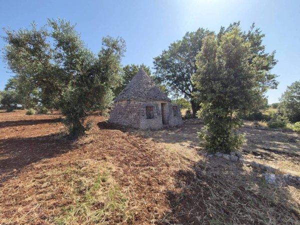casa indipendente in vendita a Locorotondo