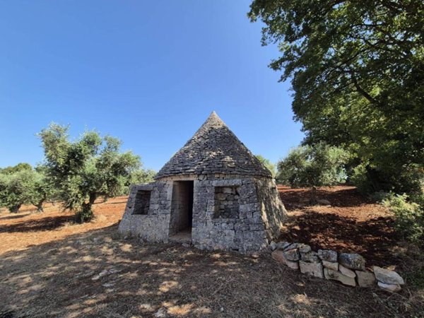 casa indipendente in vendita a Locorotondo