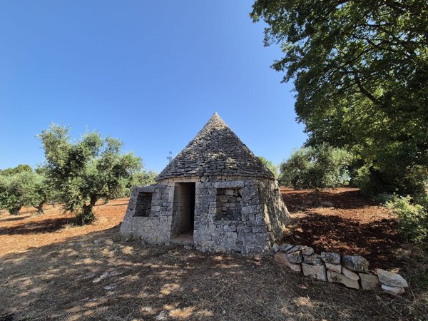 appartamento in vendita a Locorotondo