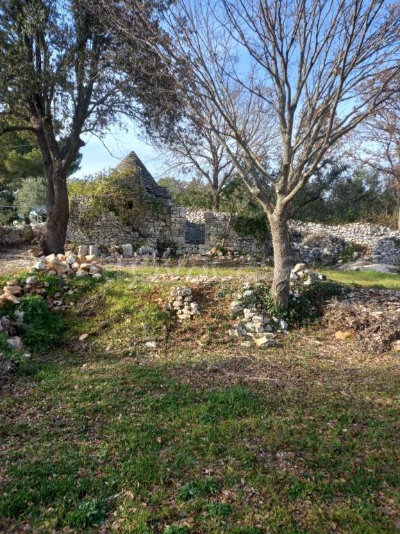 appartamento in vendita a Locorotondo