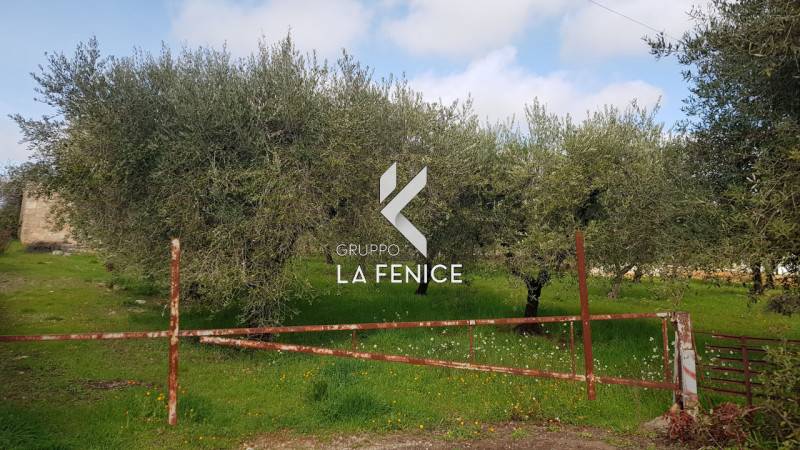 casale in vendita a Locorotondo